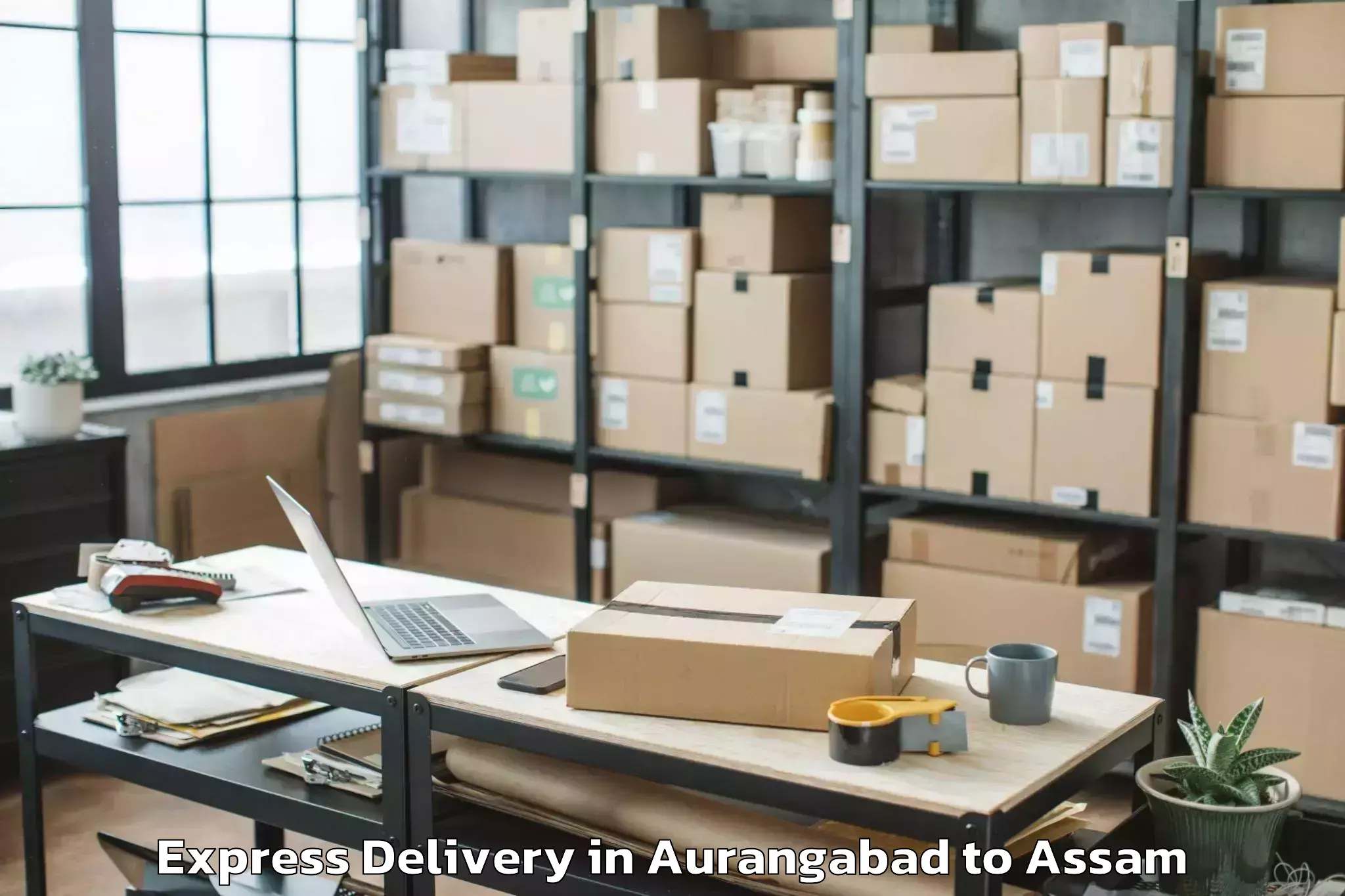 Leading Aurangabad to Hajo Express Delivery Provider